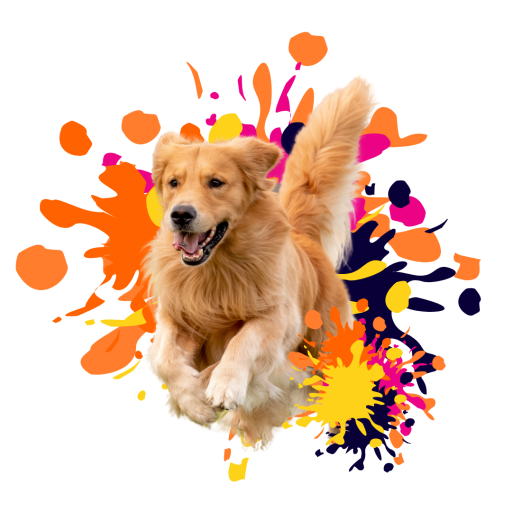 Dog Site 2 1024x1024